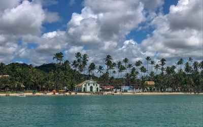 Conhecendo a Praia dos Carneiros em um dia