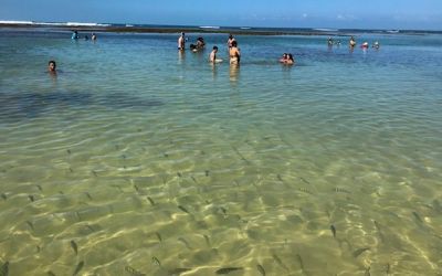 Morro de São Paulo e as piscinas naturais da quarta praia